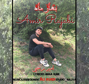 امیر رجبی بهار ماه